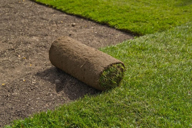 Rollrasen verlegen In wenigen Schritten zum saftigen Grün