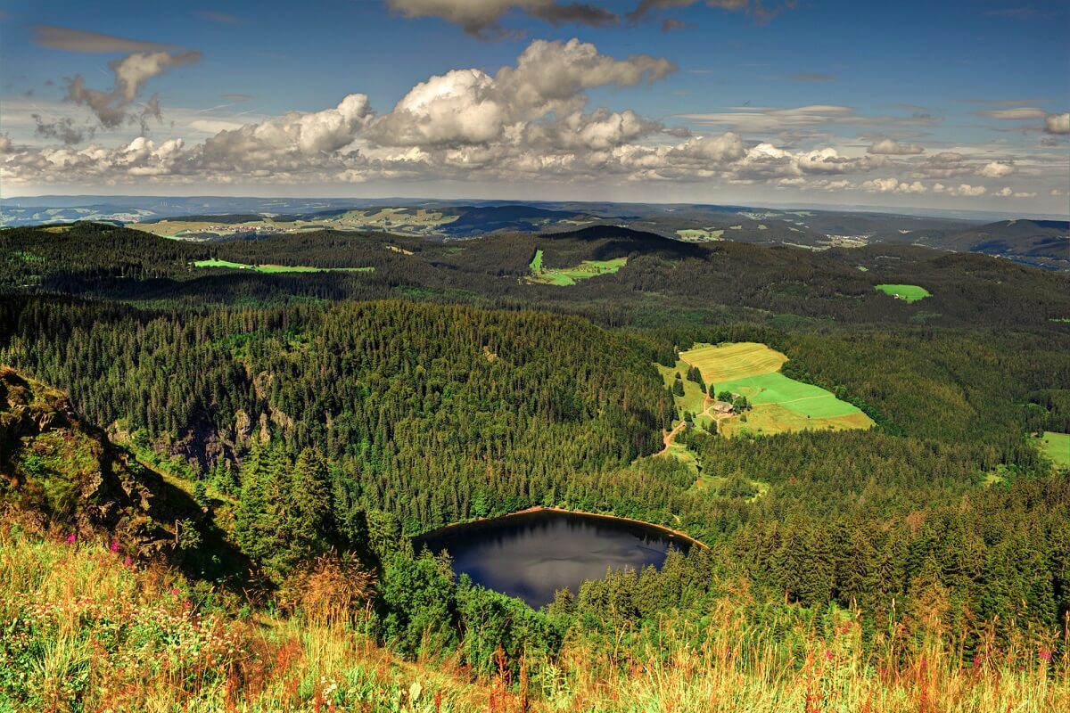 Der Schwarzwald gehört zu den beliebtesten Reisezielen in Deutschland und ist von Freiburg in kürzester Zeit erreichbar