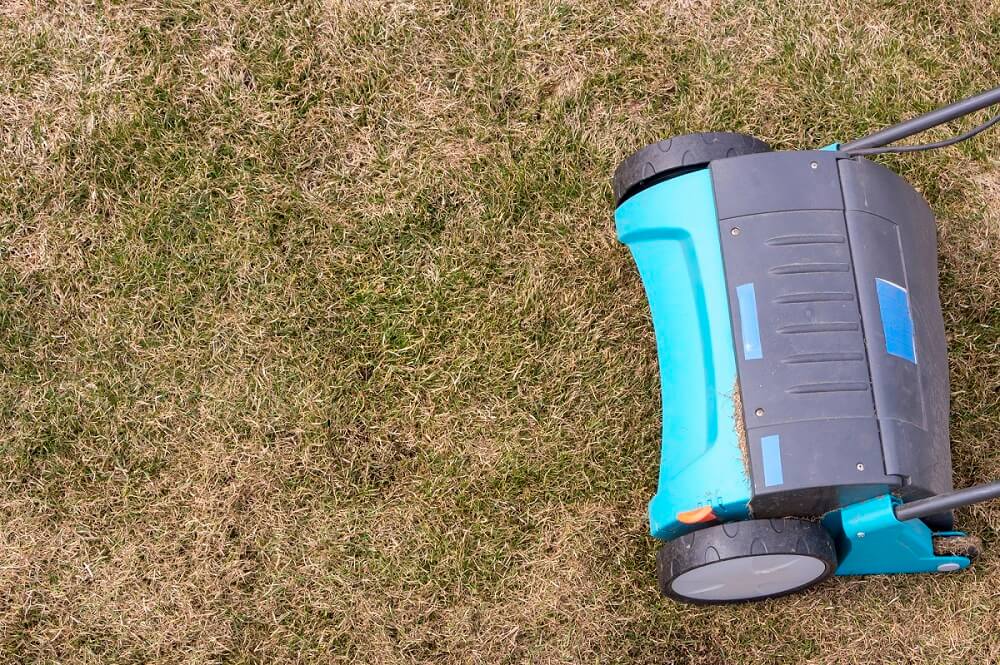 44+ Wann Ist Die Beste Zeit Den Rasen Zu Sprengen, Das wasser würde
