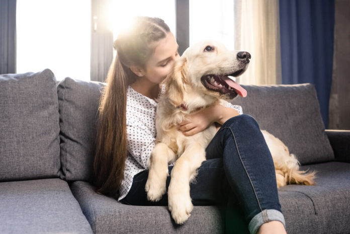Darmsanierung beim Hund - So ist das Vorgehen Darmsanierung beim Hund - So ist das Vorgehen