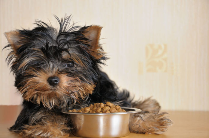 Trockenes Hundefutter trockenes Hundefutter