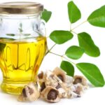 Moringa Öl – Inhaltsstoffe, Anwendung und Wirkung Moringa Öl mit Samen