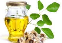 Moringa Öl – Inhaltsstoffe, Anwendung und Wirkung Moringa Öl mit Samen