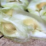 Moringa Samen – Inhaltsstoffe und Einsatzzwecke Moringa Samen - Inhaltsstoffe und Einsatzzwecke