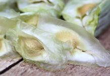 Moringa Samen – Inhaltsstoffe und Einsatzzwecke Moringa Samen - Inhaltsstoffe und Einsatzzwecke