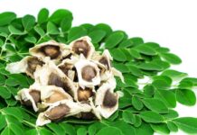 Moringa Studien – Gegen was hilft Moringa wirklich? Moringa Studien - Gegen welche Krankheiten hilft Moringa wirklich?